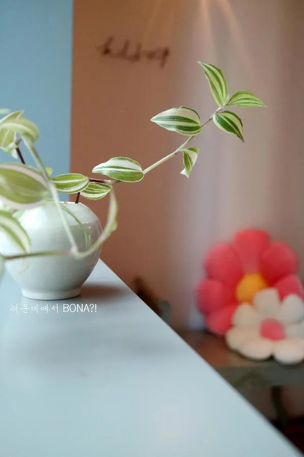 Apartament Haeundae Bona Travel Pusan